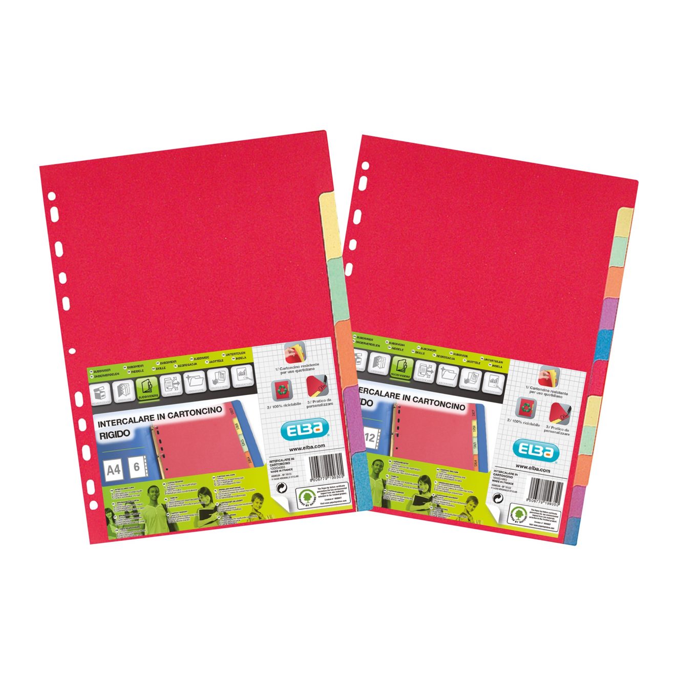 Cardboard Dividers Archivi Favorit